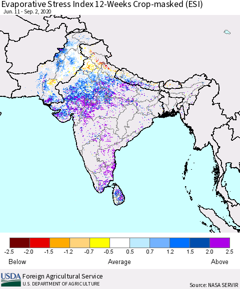 Southern Asia Evaporative Stress Index (ESI), 12-Weeks over Croplands Thematic Map For 8/31/2020 - 9/6/2020