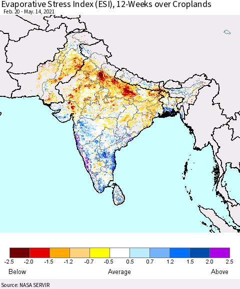 Southern Asia Evaporative Stress Index (ESI), 12-Weeks over Croplands Thematic Map For 5/10/2021 - 5/16/2021