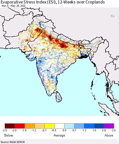 Southern Asia Evaporative Stress Index (ESI), 12-Weeks over Croplands Thematic Map For 5/24/2021 - 5/30/2021