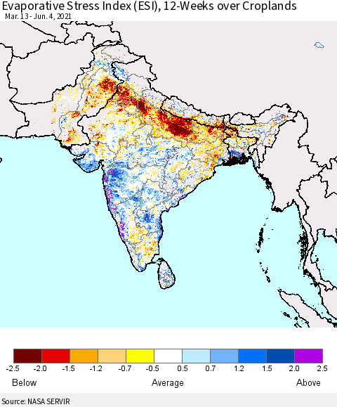 Southern Asia Evaporative Stress Index (ESI), 12-Weeks over Croplands Thematic Map For 5/31/2021 - 6/6/2021