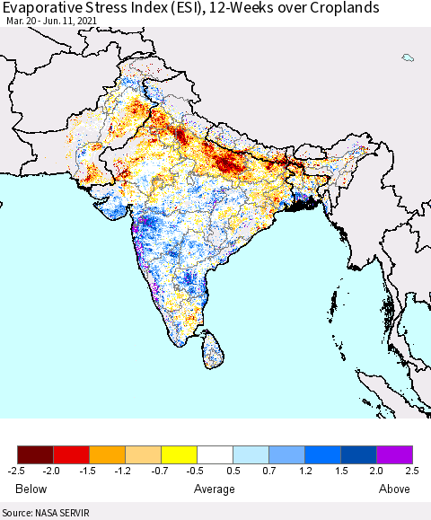 Southern Asia Evaporative Stress Index (ESI), 12-Weeks over Croplands Thematic Map For 6/7/2021 - 6/13/2021