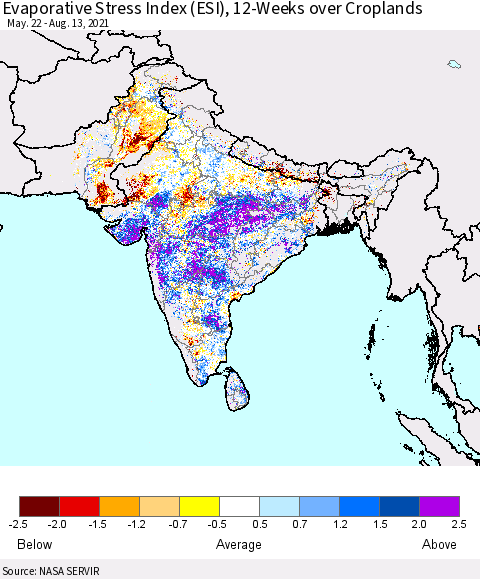 Southern Asia Evaporative Stress Index (ESI), 12-Weeks over Croplands Thematic Map For 8/9/2021 - 8/15/2021