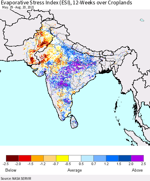 Southern Asia Evaporative Stress Index (ESI), 12-Weeks over Croplands Thematic Map For 8/16/2021 - 8/22/2021