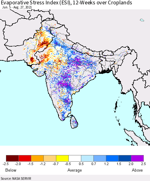 Southern Asia Evaporative Stress Index (ESI), 12-Weeks over Croplands Thematic Map For 8/23/2021 - 8/29/2021