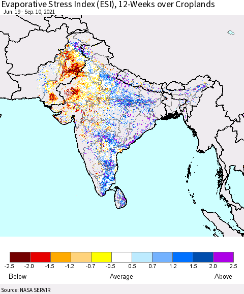 Southern Asia Evaporative Stress Index (ESI), 12-Weeks over Croplands Thematic Map For 9/6/2021 - 9/12/2021