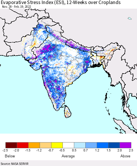 Southern Asia Evaporative Stress Index (ESI), 12-Weeks over Croplands Thematic Map For 2/14/2022 - 2/20/2022