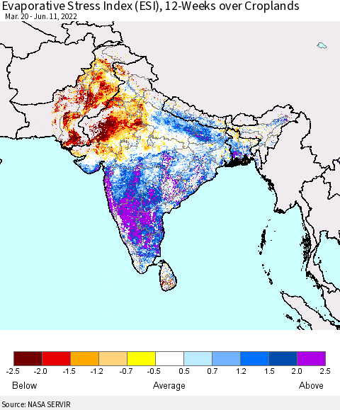 Southern Asia Evaporative Stress Index (ESI), 12-Weeks over Croplands Thematic Map For 6/6/2022 - 6/12/2022
