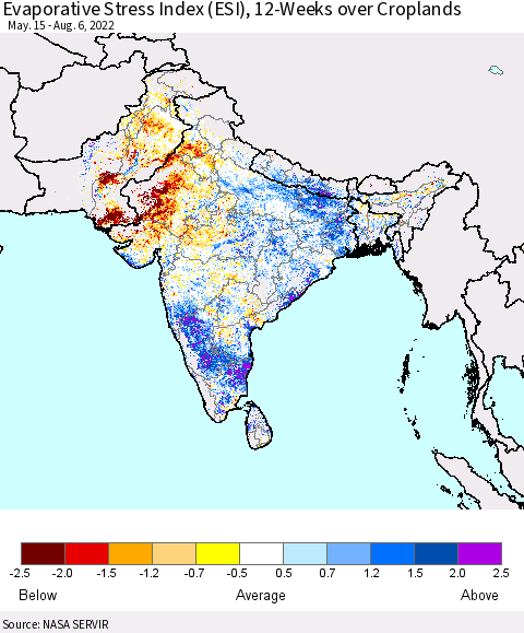 Southern Asia Evaporative Stress Index (ESI), 12-Weeks over Croplands Thematic Map For 8/1/2022 - 8/7/2022
