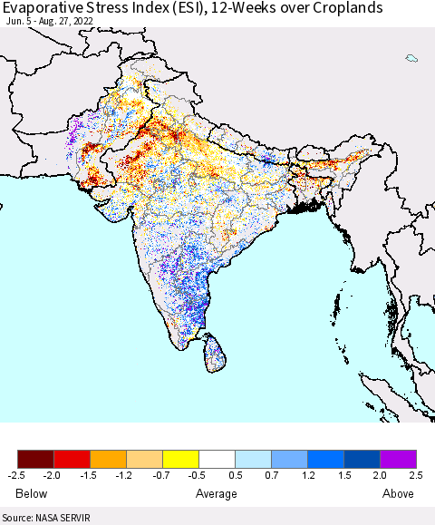 Southern Asia Evaporative Stress Index (ESI), 12-Weeks over Croplands Thematic Map For 8/22/2022 - 8/28/2022