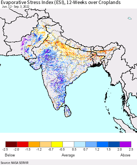Southern Asia Evaporative Stress Index (ESI), 12-Weeks over Croplands Thematic Map For 8/29/2022 - 9/4/2022