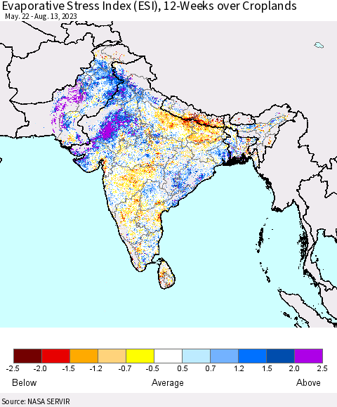 Southern Asia Evaporative Stress Index (ESI), 12-Weeks over Croplands Thematic Map For 8/7/2023 - 8/13/2023