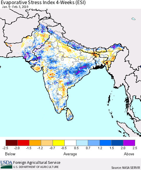 Southern Asia Evaporative Stress Index (ESI), 4-Weeks Thematic Map For 2/4/2019 - 2/10/2019