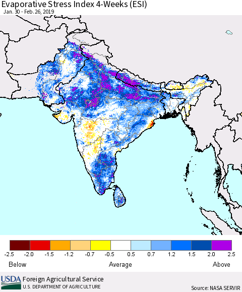 Southern Asia Evaporative Stress Index (ESI), 4-Weeks Thematic Map For 2/25/2019 - 3/3/2019
