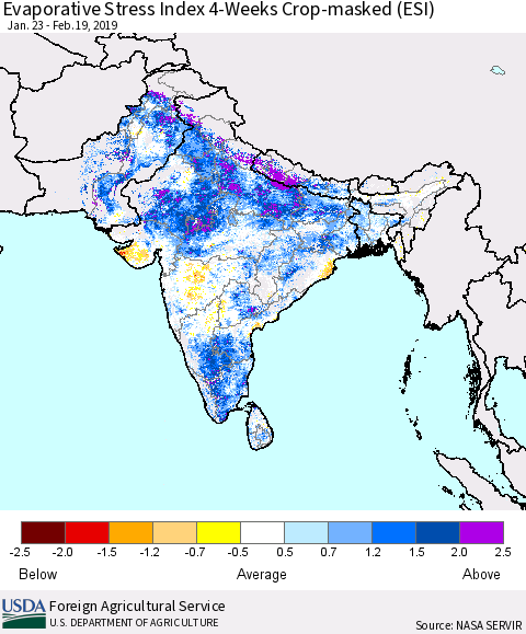 Southern Asia Evaporative Stress Index (ESI), 4-Weeks over Croplands Thematic Map For 2/18/2019 - 2/24/2019