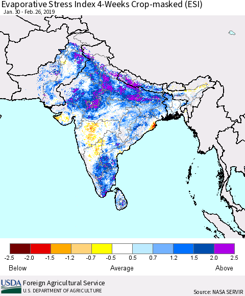 Southern Asia Evaporative Stress Index (ESI), 4-Weeks over Croplands Thematic Map For 2/25/2019 - 3/3/2019
