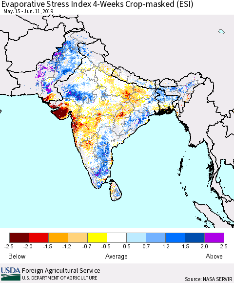 Southern Asia Evaporative Stress Index (ESI), 4-Weeks over Croplands Thematic Map For 6/10/2019 - 6/16/2019