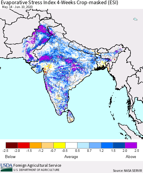 Southern Asia Evaporative Stress Index (ESI), 4-Weeks over Croplands Thematic Map For 6/8/2020 - 6/14/2020