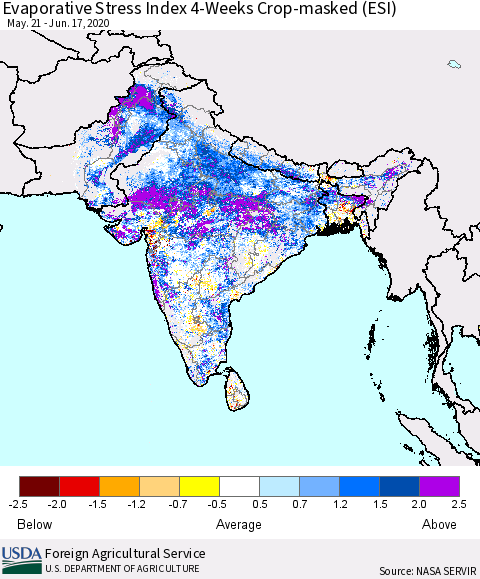 Southern Asia Evaporative Stress Index (ESI), 4-Weeks over Croplands Thematic Map For 6/15/2020 - 6/21/2020