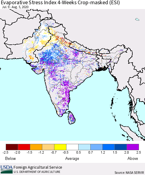 Southern Asia Evaporative Stress Index (ESI), 4-Weeks over Croplands Thematic Map For 8/3/2020 - 8/9/2020