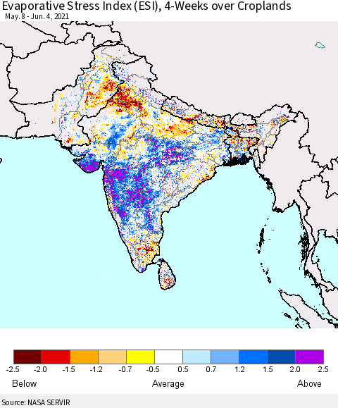Southern Asia Evaporative Stress Index (ESI), 4-Weeks over Croplands Thematic Map For 5/31/2021 - 6/6/2021