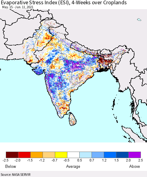 Southern Asia Evaporative Stress Index (ESI), 4-Weeks over Croplands Thematic Map For 6/7/2021 - 6/13/2021