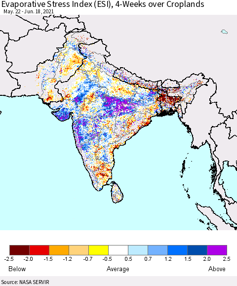 Southern Asia Evaporative Stress Index (ESI), 4-Weeks over Croplands Thematic Map For 6/14/2021 - 6/20/2021