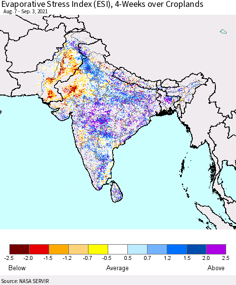 Southern Asia Evaporative Stress Index (ESI), 4-Weeks over Croplands Thematic Map For 8/30/2021 - 9/5/2021