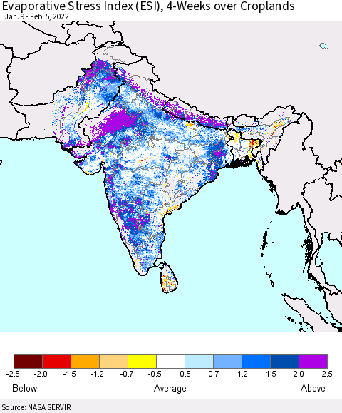 Southern Asia Evaporative Stress Index (ESI), 4-Weeks over Croplands Thematic Map For 1/31/2022 - 2/6/2022