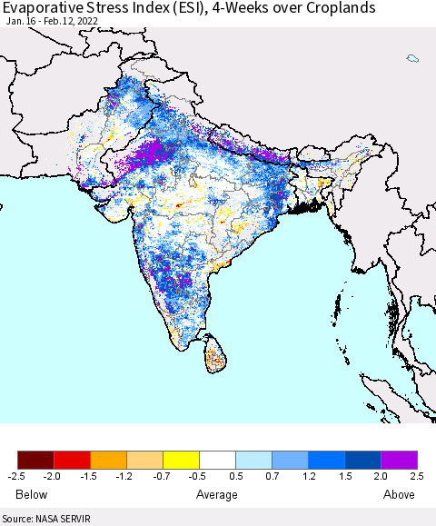 Southern Asia Evaporative Stress Index (ESI), 4-Weeks over Croplands Thematic Map For 2/7/2022 - 2/13/2022