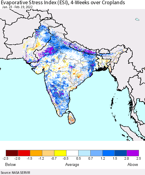 Southern Asia Evaporative Stress Index (ESI), 4-Weeks over Croplands Thematic Map For 2/14/2022 - 2/20/2022