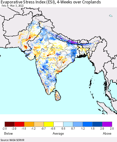 Southern Asia Evaporative Stress Index (ESI), 4-Weeks over Croplands Thematic Map For 2/28/2022 - 3/6/2022