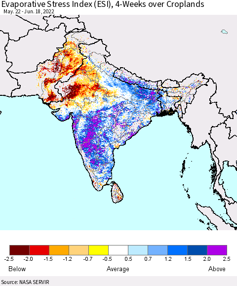 Southern Asia Evaporative Stress Index (ESI), 4-Weeks over Croplands Thematic Map For 6/13/2022 - 6/19/2022