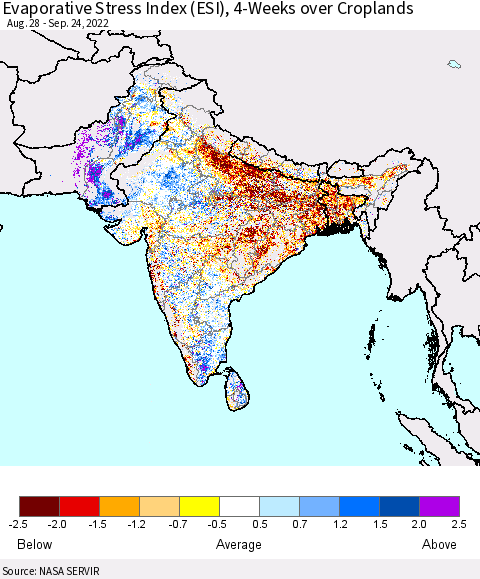 Southern Asia Evaporative Stress Index (ESI), 4-Weeks over Croplands Thematic Map For 9/19/2022 - 9/25/2022