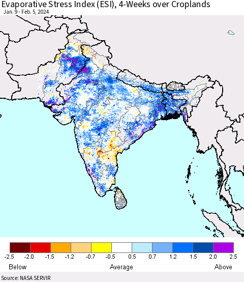 Southern Asia Evaporative Stress Index (ESI), 4-Weeks over Croplands Thematic Map For 2/5/2024 - 2/11/2024