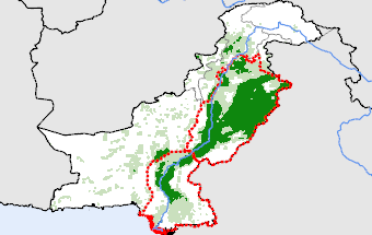 Pakistan