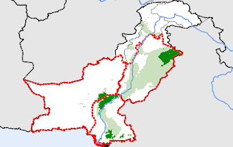 Pakistan