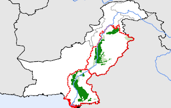 Pakistan