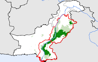 Pakistan