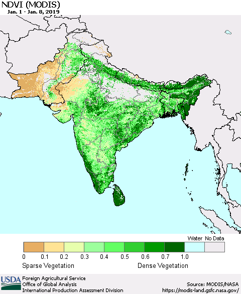 Southern Asia NDVI (Terra-MODIS) Thematic Map For 1/1/2019 - 1/10/2019