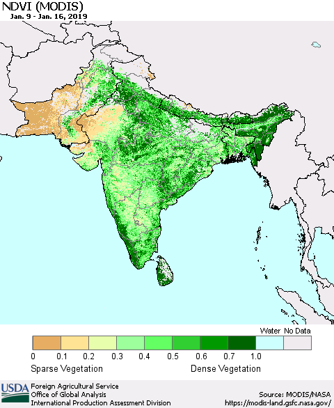 Southern Asia NDVI (Terra-MODIS) Thematic Map For 1/11/2019 - 1/20/2019