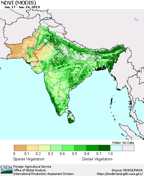 Southern Asia NDVI (Terra-MODIS) Thematic Map For 1/21/2019 - 1/31/2019