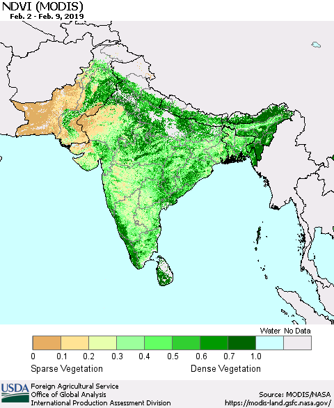Southern Asia NDVI (Terra-MODIS) Thematic Map For 2/1/2019 - 2/10/2019