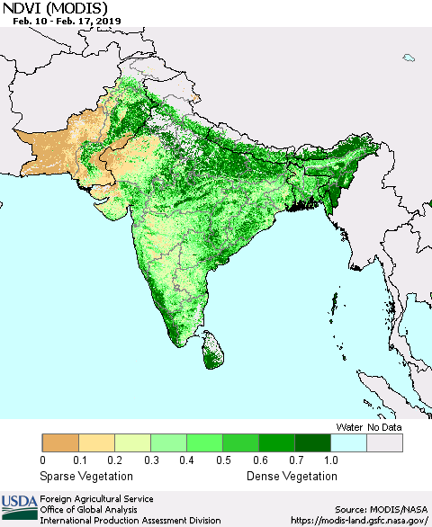 Southern Asia NDVI (Terra-MODIS) Thematic Map For 2/11/2019 - 2/20/2019