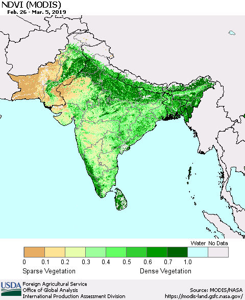 Southern Asia NDVI (Terra-MODIS) Thematic Map For 3/1/2019 - 3/10/2019
