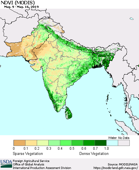 Southern Asia NDVI (Terra-MODIS) Thematic Map For 5/11/2019 - 5/20/2019