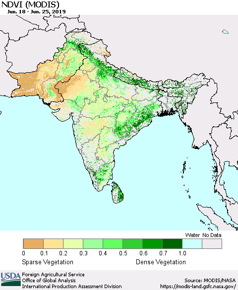 Southern Asia NDVI (Terra-MODIS) Thematic Map For 6/21/2019 - 6/30/2019