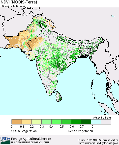Southern Asia NDVI (Terra-MODIS) Thematic Map For 7/11/2019 - 7/20/2019