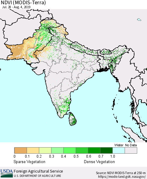 Southern Asia NDVI (MODIS-Terra) Thematic Map For 8/1/2019 - 8/10/2019