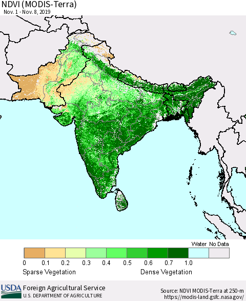 Southern Asia NDVI (Terra-MODIS) Thematic Map For 11/1/2019 - 11/10/2019