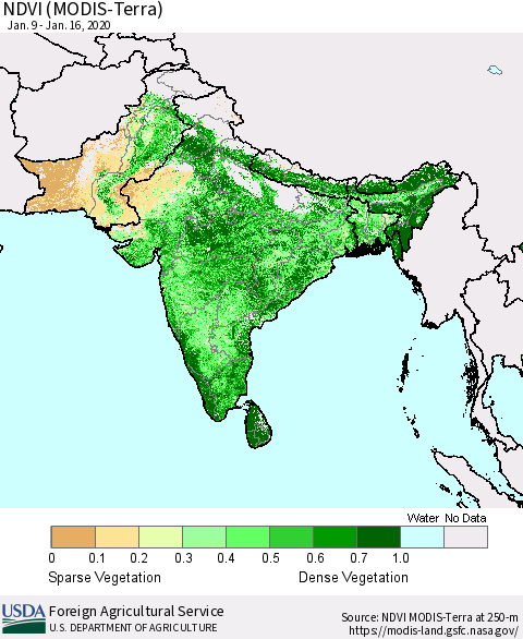 Southern Asia NDVI (Terra-MODIS) Thematic Map For 1/11/2020 - 1/20/2020